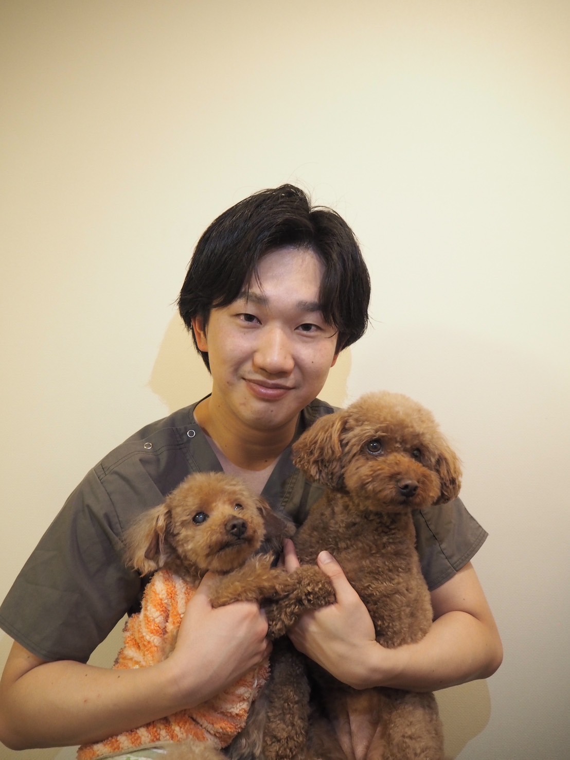 staff-dog-image-01