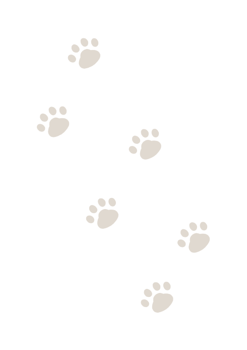 staff-background-image