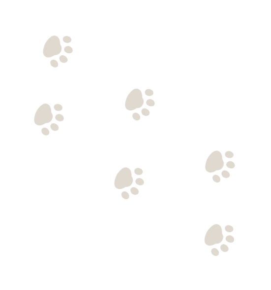 staff-background-image
